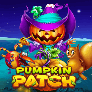 Pumpkin Patch-Habanero